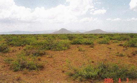 Looking Northwest to Squaretop Hills from the East Boundry of the Rafter X Ranch