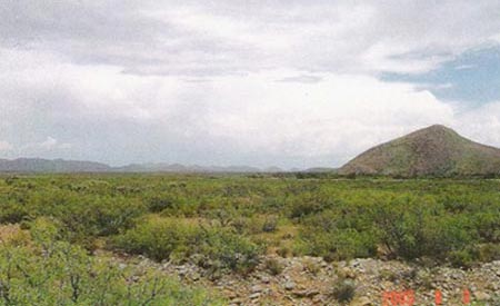 Looking Southeast from Rucker Canyon Road Up Whitewater Draw on the Rafter X Ranch