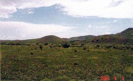 Looking South to Slover Pasture from Rucker Canyon Road at South End of Rafter X Ranch