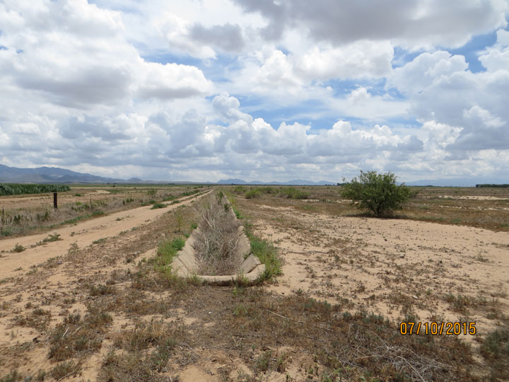 Looking east from center of property on north property line