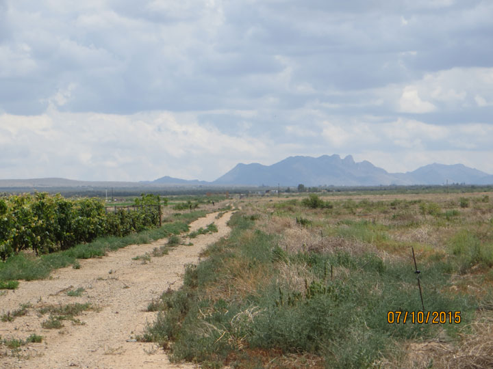 Looking east from northwest corner