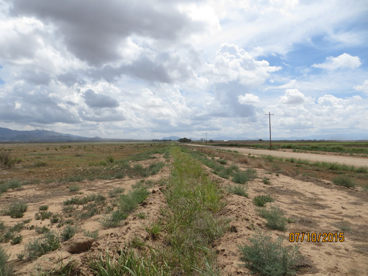 Looking east along Robbs Road from southwest corner of property