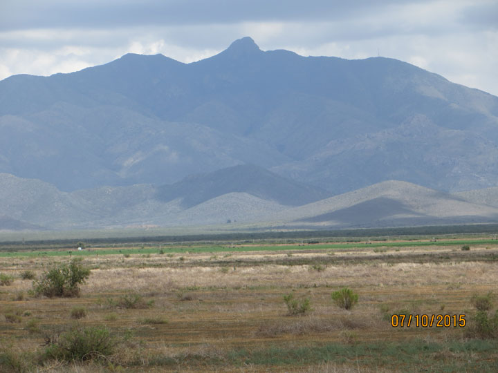 Looking northeast from southwest corner of property with Dos Cabezas Mountains in background