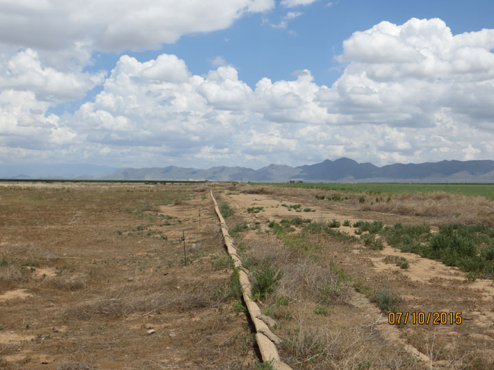 Looking north from southeast corner along east boundary