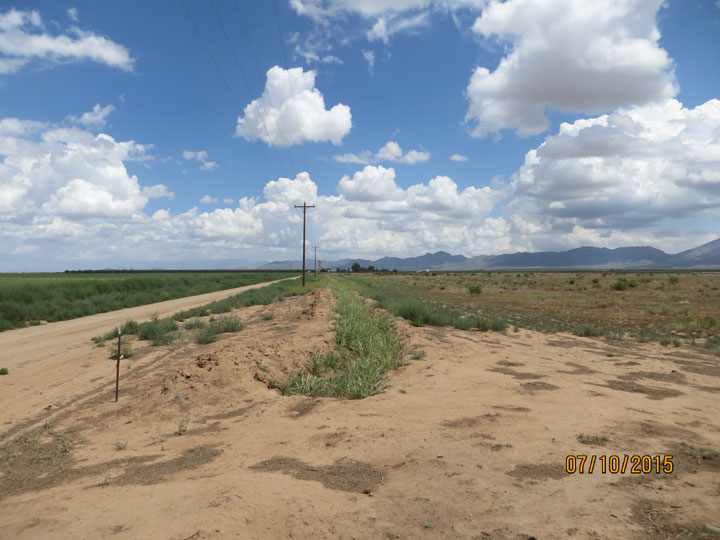 Looking north along Windsong road on west side of property from southwest corner of property.