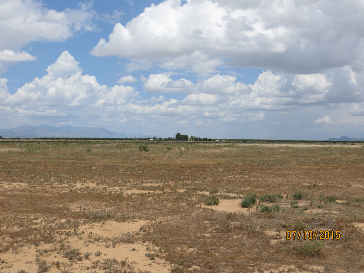 Looking northwest from southeast corner