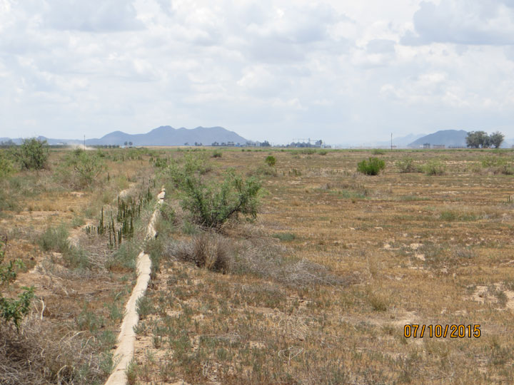 Lookng south at concrete Irrigation Ditch in center of property from north property line