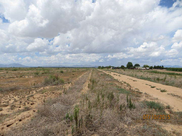 Looking west from center property on north line