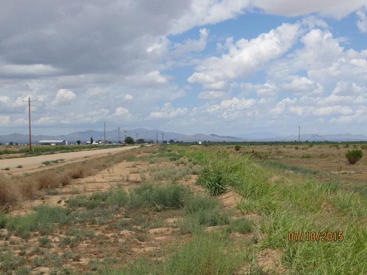 Looking west from center of property.