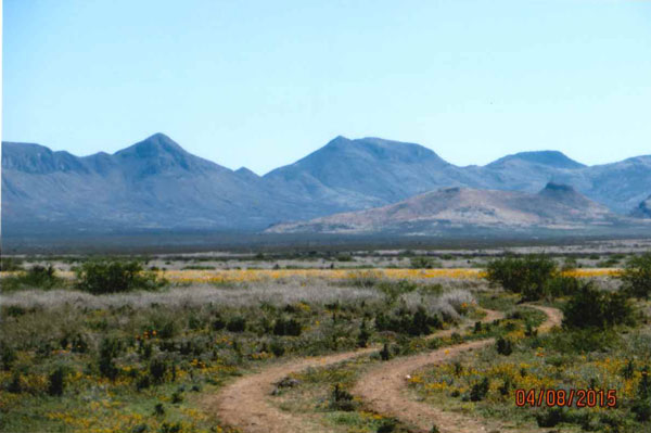 Looking northeast from Dirt Tank NE Section 17 T22S R27E