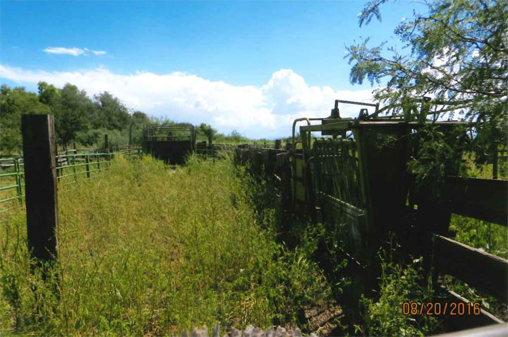 Cattle Chute and Scales at C J Ranch Headquarters