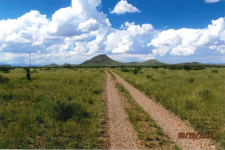 Looking northwest on road to C J Ranch headquarters