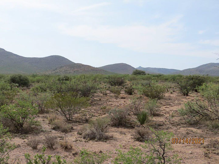 Range at 1st Trough on South Pasture