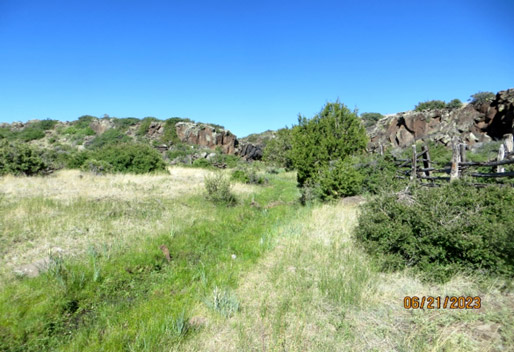 Looking Northwest to Shuster Spring – Old Sheep Corral on Right
