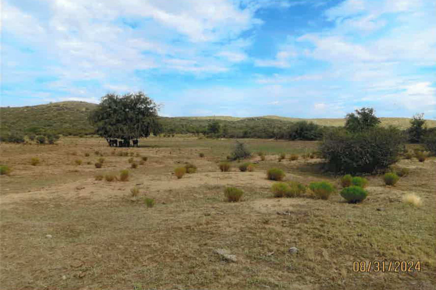 Looking North at Lower Tank