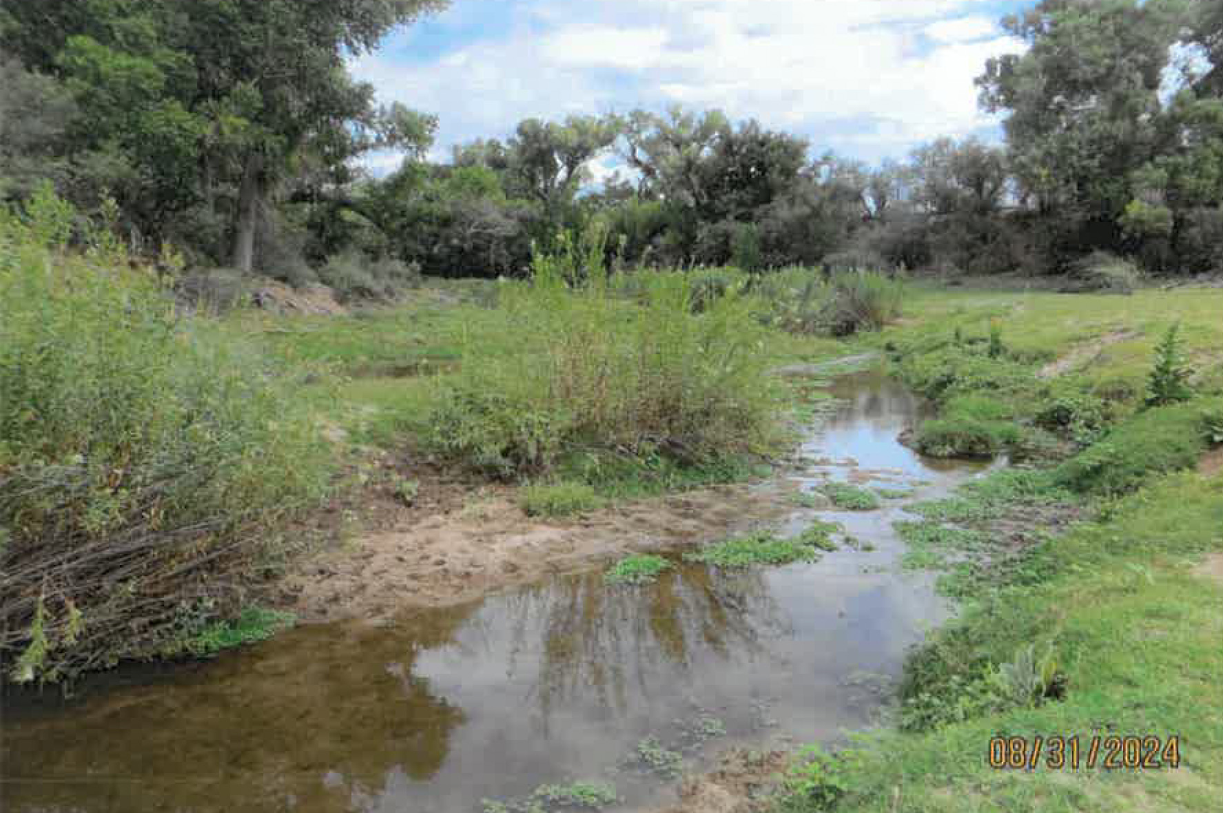 Kirkland Creek